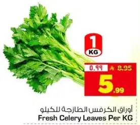اوراق الكرفس الطازجه للكيلو
