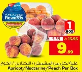 علبه لكل من المشمش/النكترين/الخوخ