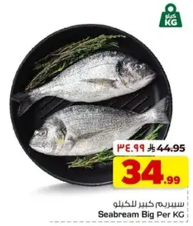 سمك سيفريم كبير للكيلو