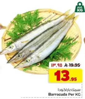 سمك باراكودا للكيلو