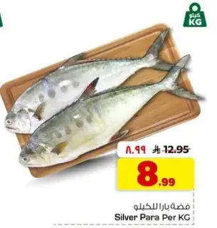 سمك بارا للكيلو