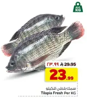 سمك بلطي للكيلو