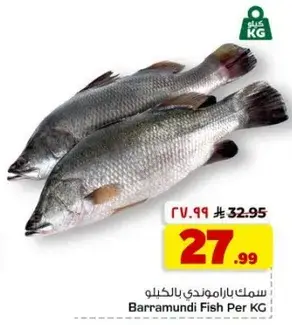 سمك باراموندي للكيلو