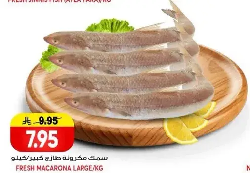 سمك مكرونه طازج كبير/كيلو