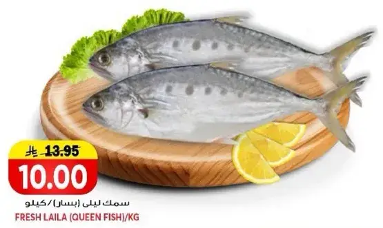 سمك ليلي اسباني/كيلو