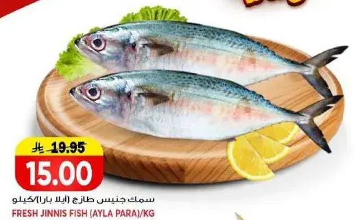 سمك جنيس طازج (ايله بارا) /كيلو