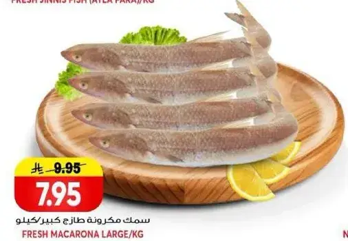 سمك مكرونه طازج كبير /كيلو