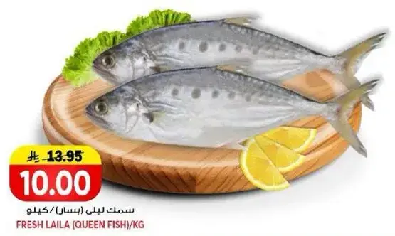 سمك ليلي (بسا) /كيلو