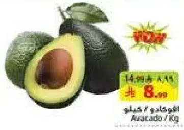 Avocado / Kg