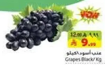 Grapes Black/Kg