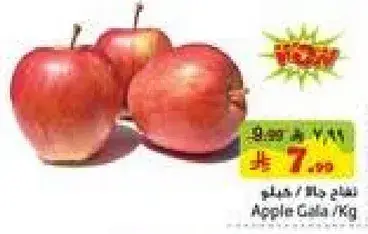 Apple Gala / Kg