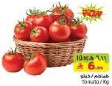 Tomato / Kg