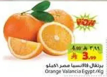 Orange Valancia Egypt/Kg