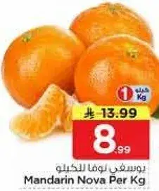 Mandarin Nova