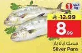 Silver Para