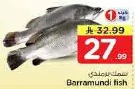Barramundi Fish