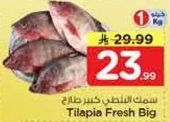 Tilapia Fresh per Kg