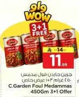 جرين جاردن فول مدمس 450 غرام 3+1 عرض خاص