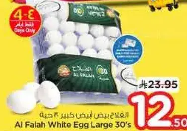 الافلاح بيض ابيض كبير 30 حبه