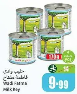 Wadi Fatma Milk Key