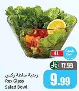 Rex Glass Salad Bowl, 4L capacity.