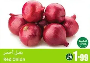 Red Onion