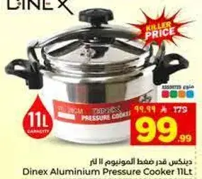 دينكس قدر ضغط الالمنيوم 11 لتر