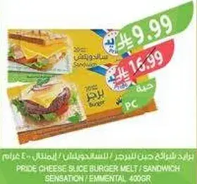 Pride Cheese Slice Burger 400g