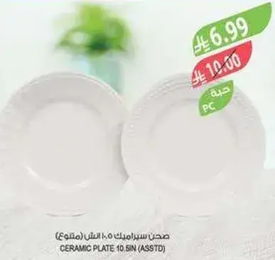 Ceramic plate 10.5in assorted