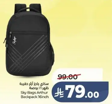 سكاي باجز ارثر حقيبه ظهر 16 بوصه