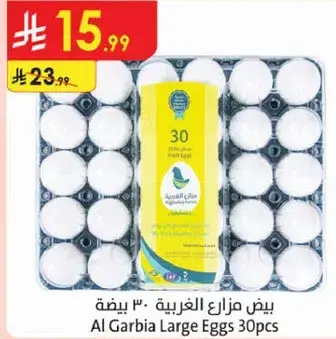 Al Garbia Large Eggs 30pcs