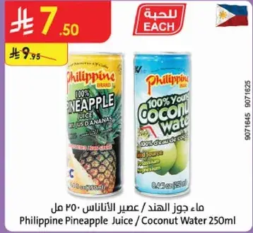 Philippine Pineapple Juice / Coconut Water 250ml