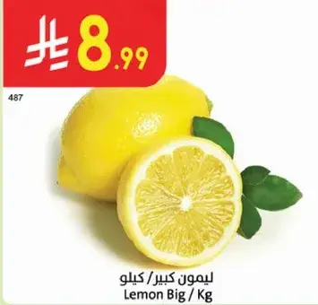 Lemon Big / Kg