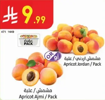 مشمش اردني / علبه