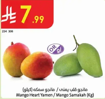 Mango Heart Yamen / Mango Samakah (Kg)