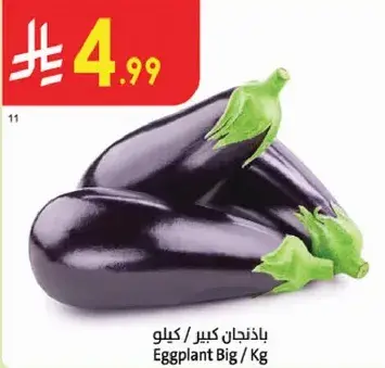 Eggplant Big / Kg