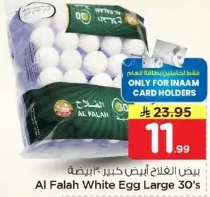 الفلح بيض ابيض كبير 30