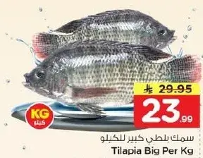 Tilapia Big Per Kg
