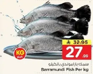 Barramundi Fish Per kg