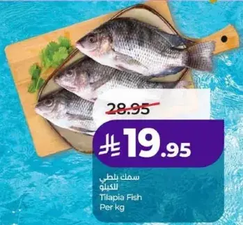سمك بلطي لكل كيلو