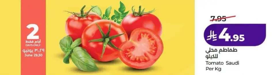 Tomato Saudi Per Kg