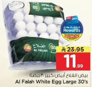 بيض الفلاح ابيض كبير 30 بيضه