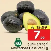 افوكادو للكليو