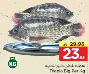 Tilapia Big Per Kg