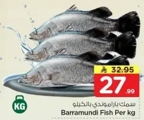 Barramundi Fish Per kg