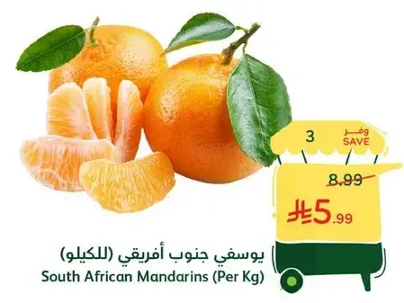 South African Mandarins (Per Kg)