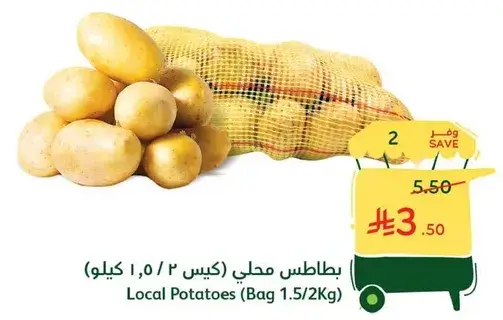 Local Potatoes (Bag 1.5/2Kg)