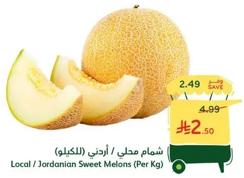 Local / Jordanian Sweet Melons (Per Kg)