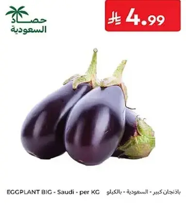 باذنجان كبير - سعودي - بالكيلو