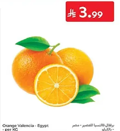 Orange Valencia - Egypt per kg